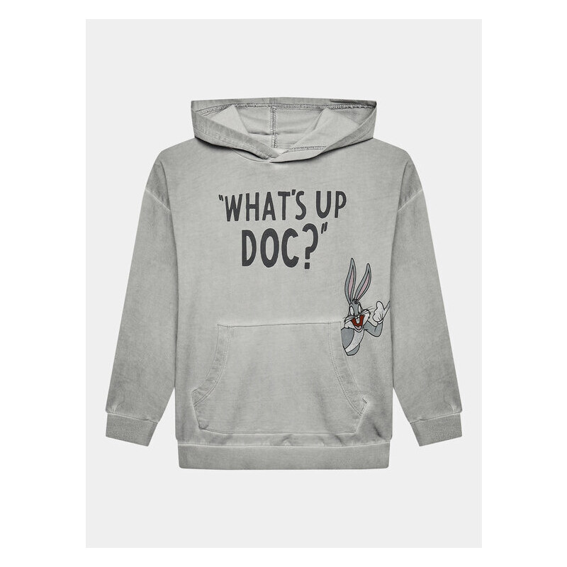 Mikina Coccodrillo 45545956