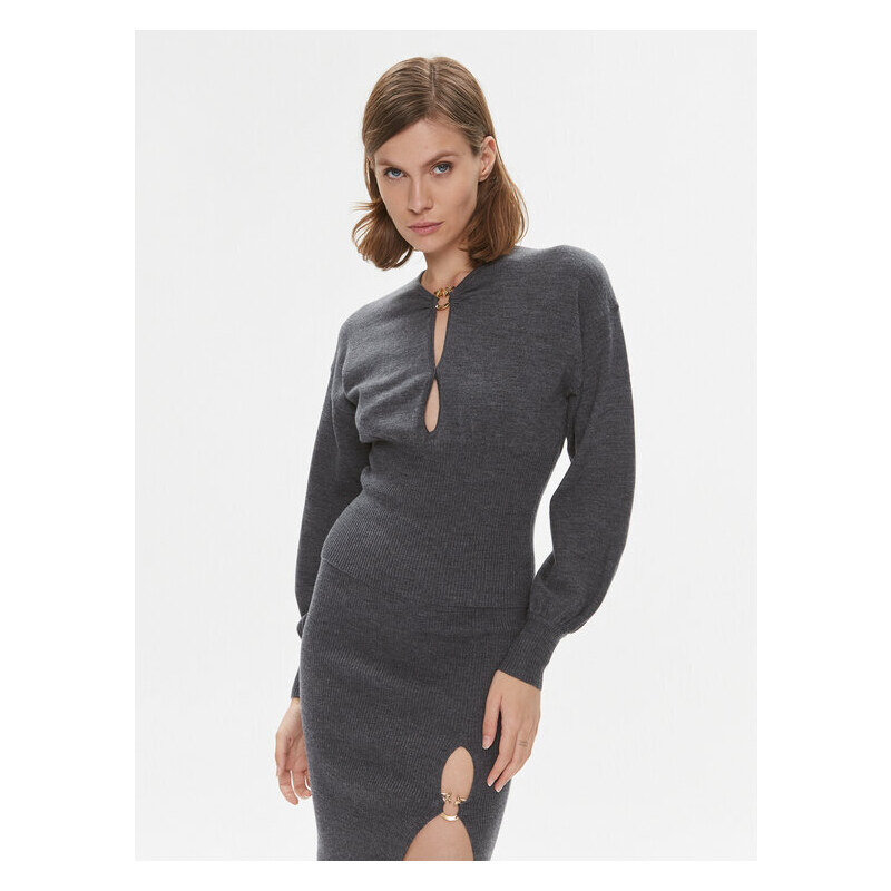 Sveter PINKO 46670893