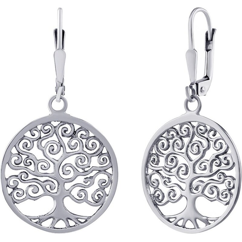 Ligot Zaujímavé lesklé náušnice zo striebra ZTJE150304 46719630