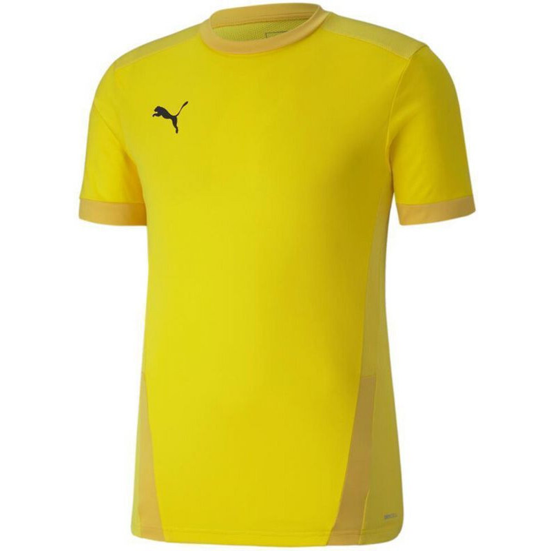 Puma teamGOAL 23 dres M 704171 07 49777839