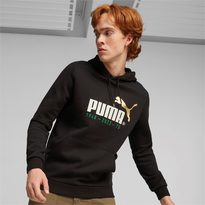 Puma No. 1 Logo Celebration Hoodie FL black 47242225