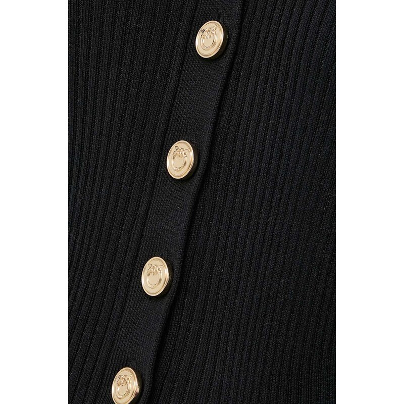 Hodvábny sveter Pinko čierna farba, tenký, 102018.A1KW