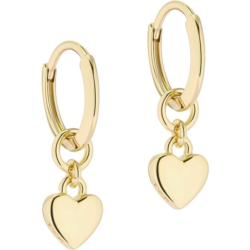 Ted Baker Náušnice HARRYE zlatá 50148655