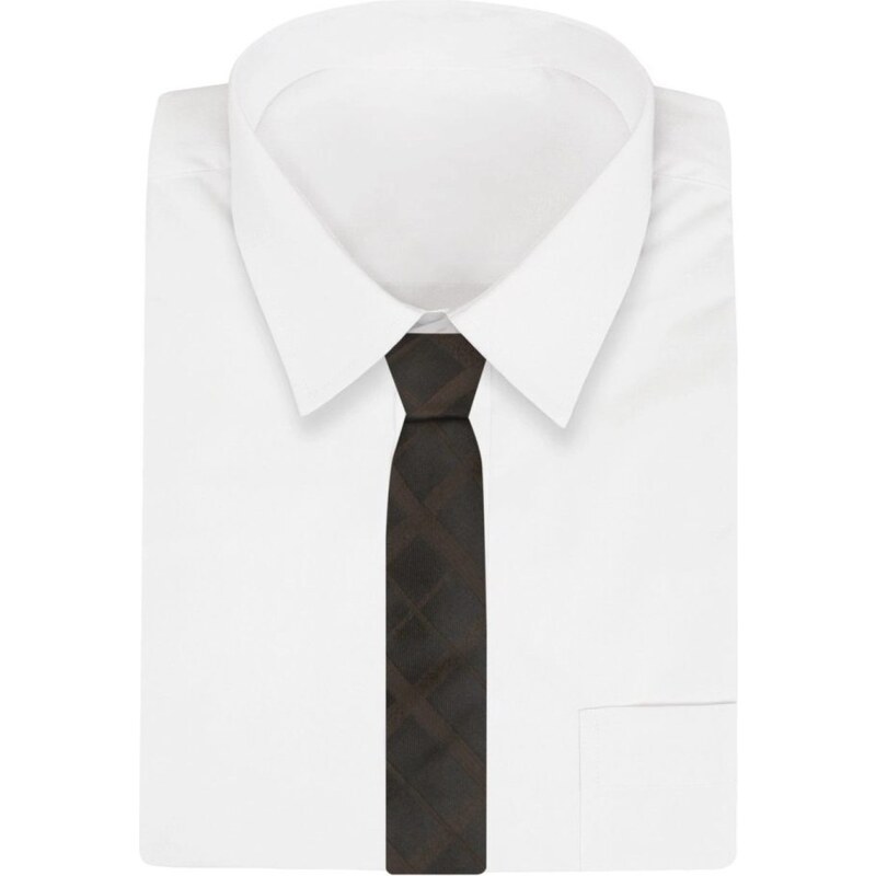 Klasická hnedá pánska kravata Alties