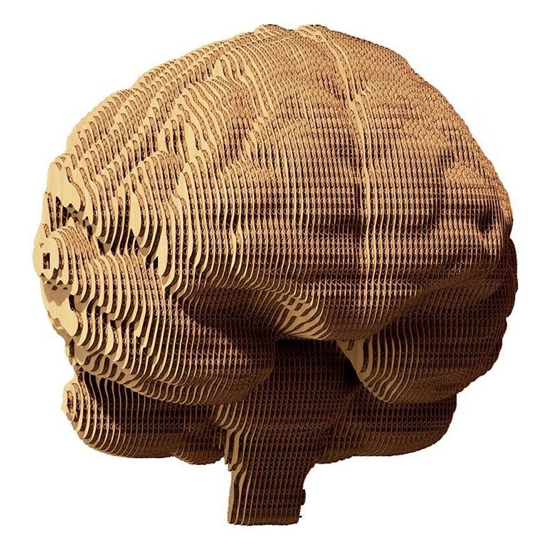 3d puzzle Cartonic Brain