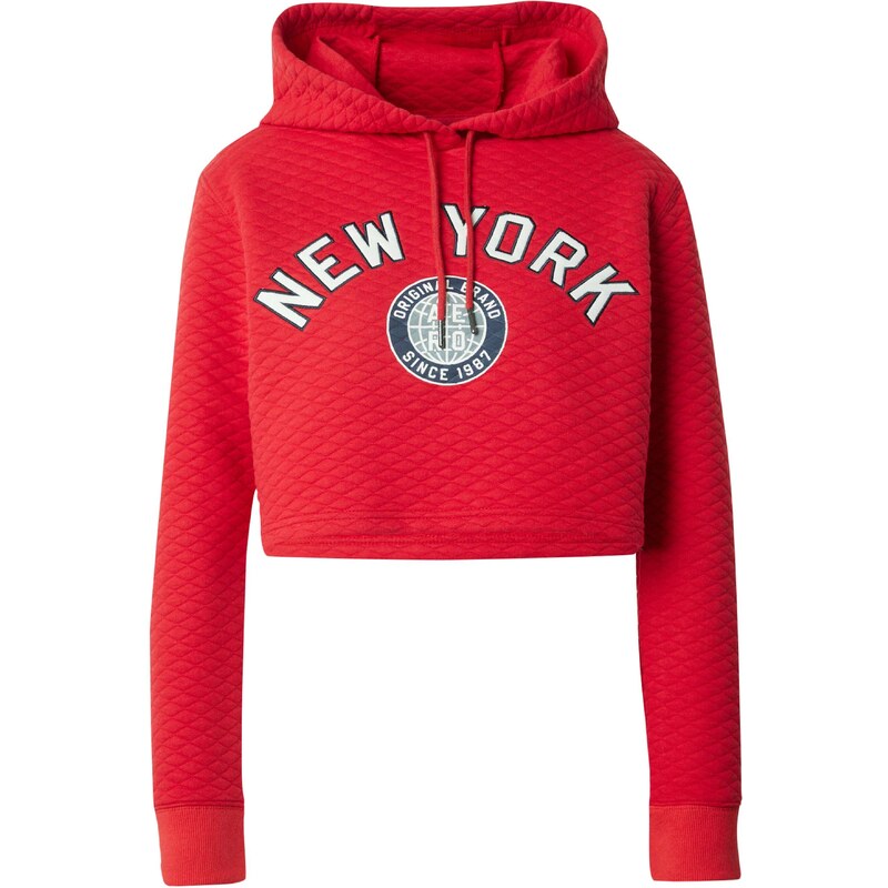 AÉROPOSTALE Mikina námornícka modrá / sivá / červená / biela 48921498