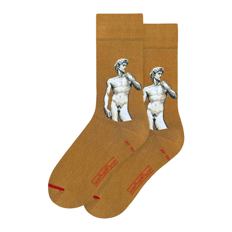 MuseARTa Clemente Papi - Plaster cast of Michelangelos David and fig 65398919