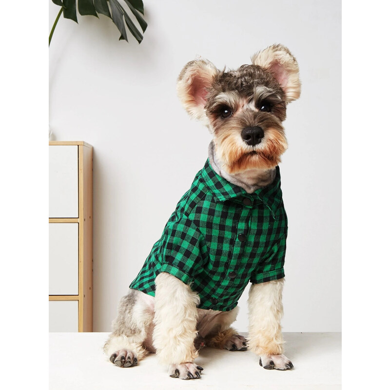 iMODA Zelená kockovaná košeľa pre psa