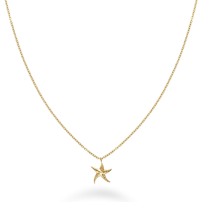 Rosefield Pozlátený náhrdelník s morskou hviezdicou Essentials JNSNG 66585341