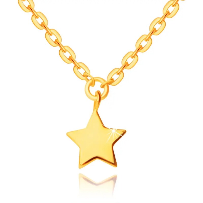 Šperky Eshop - Náhrdelník zo 14K žltého zlata - prívesok v tvare hviezdičky, lesklá retiazka s plochými očkami S3GG249.49