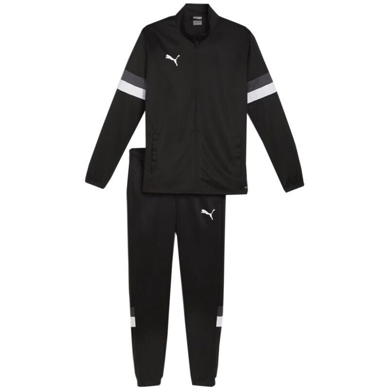 Tepláky Puma Team Rise M 658653 03 50260523