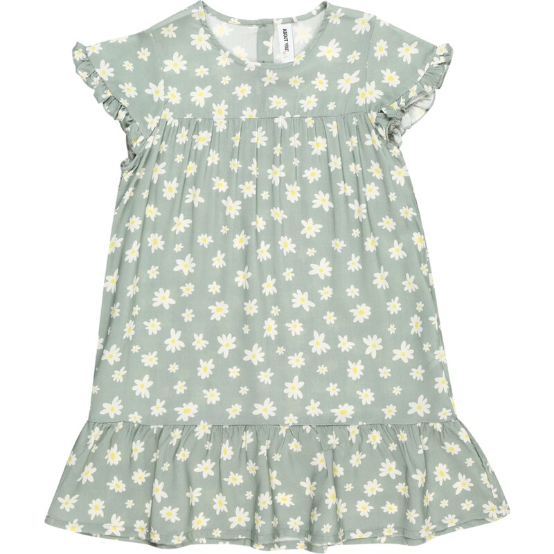 ABOUT YOU Šaty Luana svetlozelená 54338739