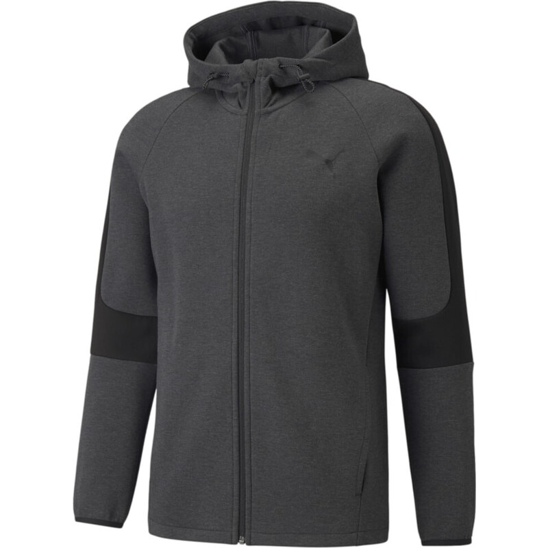 Puma EVOSTRIPE Core FZ Hoodie gray 51300271
