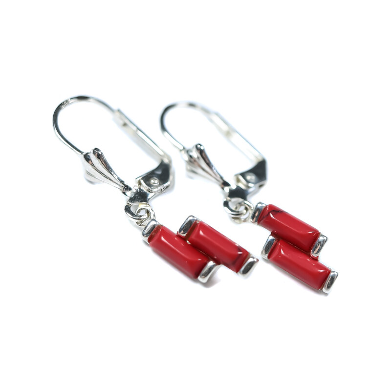 Strieborné náušnice Glare 335 51006868