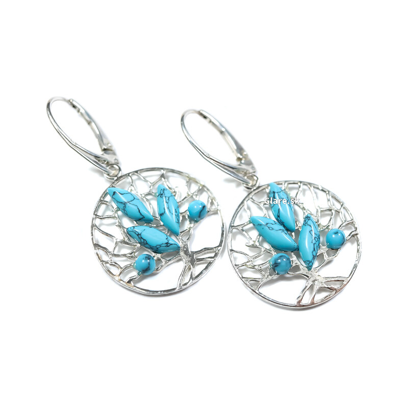 Strieborné náušnice Glare 384 51006825