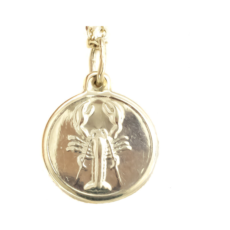 Zlatý prívesok Glare 268S 51006484