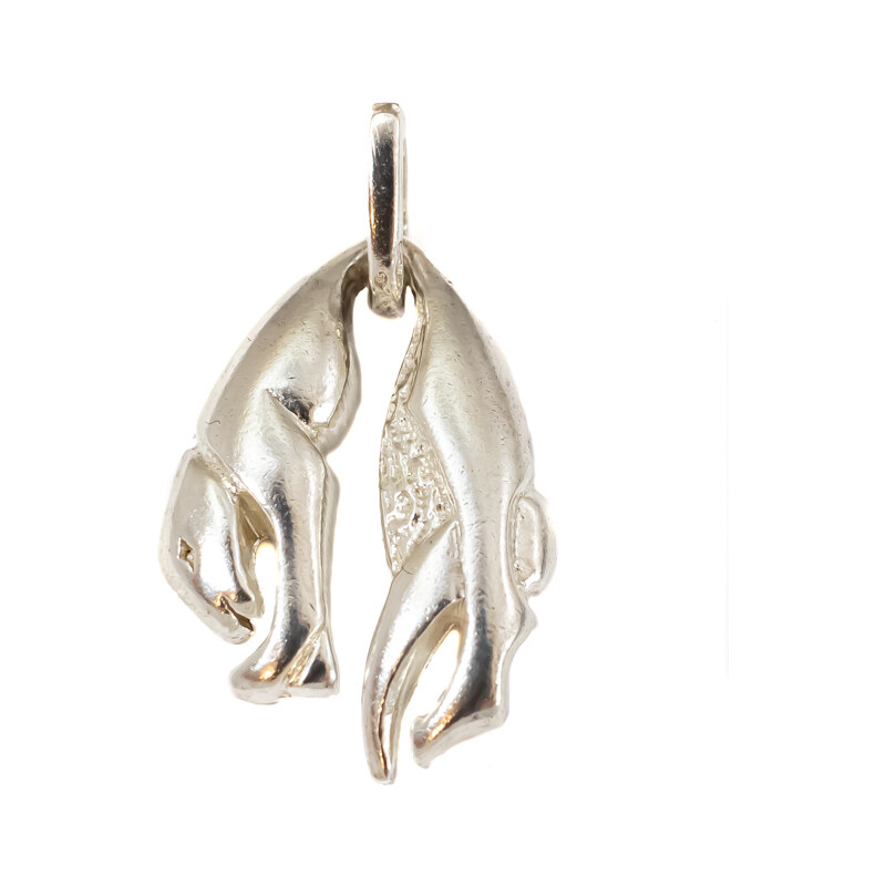 Strieborný prívesok Glare 34S 51006294