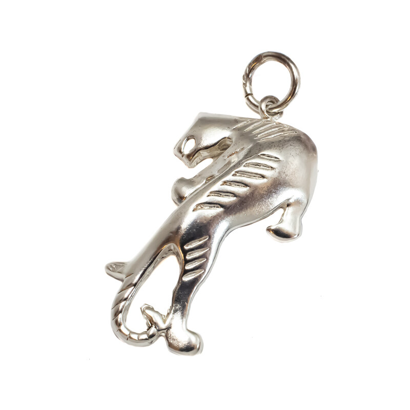 Strieborný prívesok Glare 76S 51006255