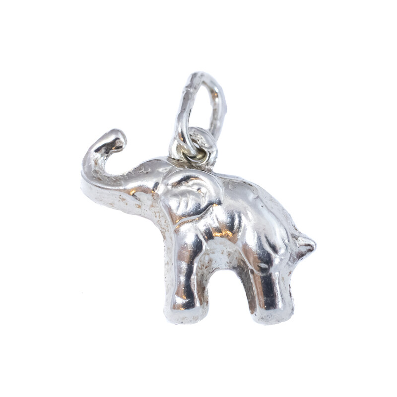 Strieborný prívesok Glare 142S 51006121