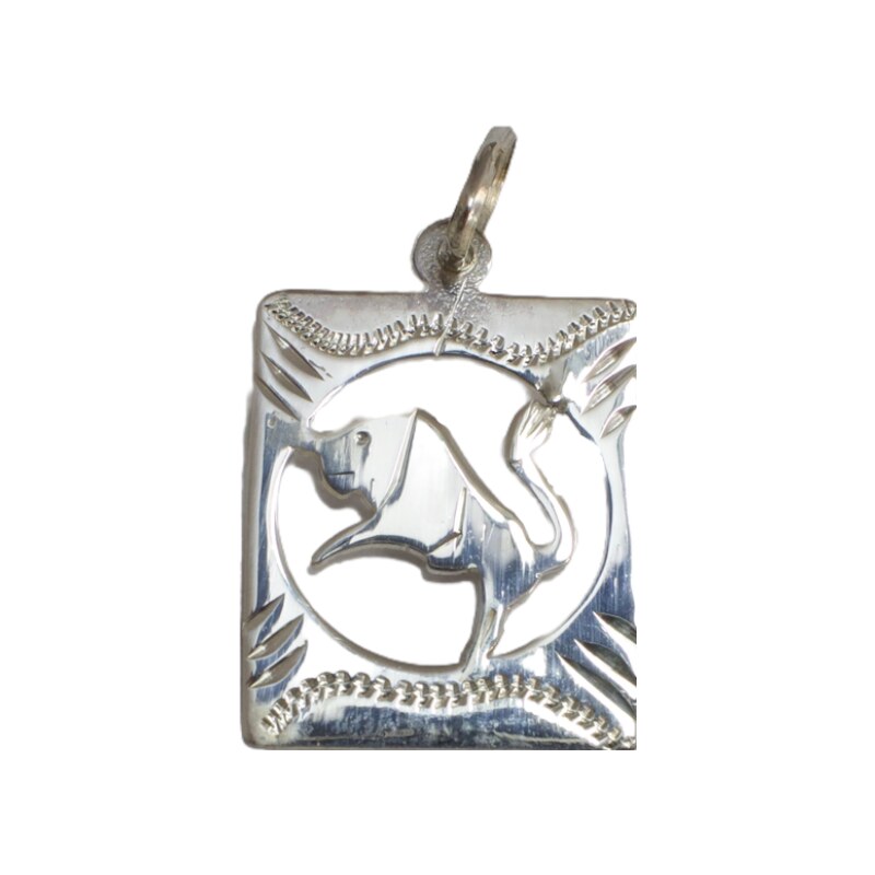 Strieborný prívesok Glare 414S 51005071