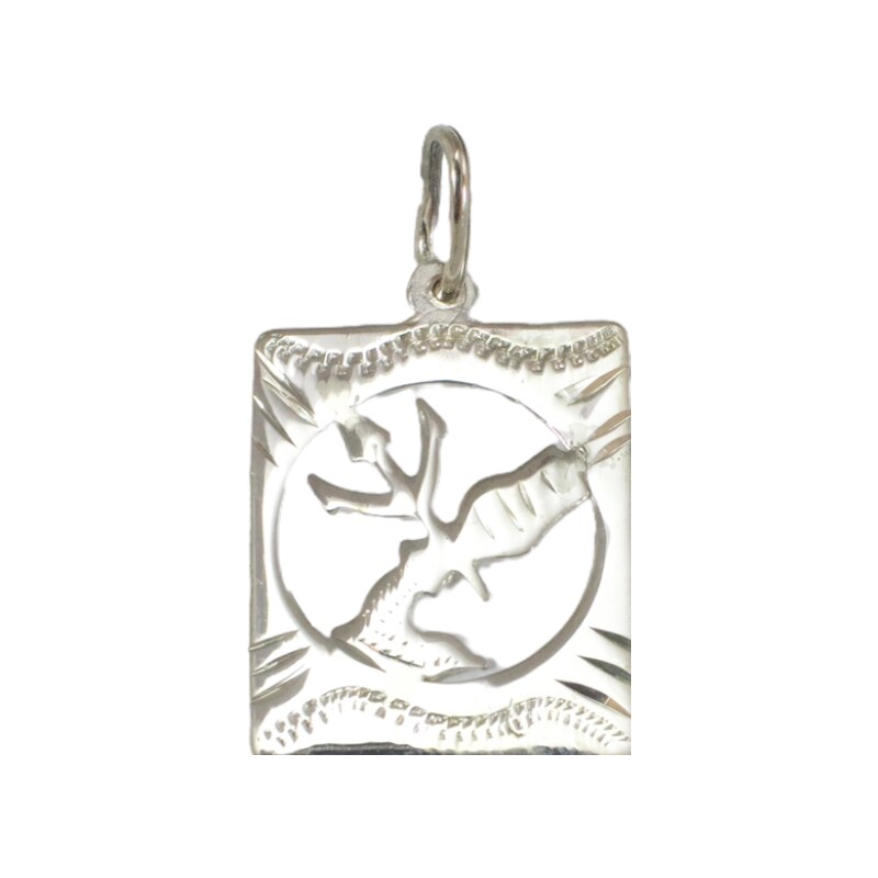 Strieborný prívesok Glare 415S 51005070