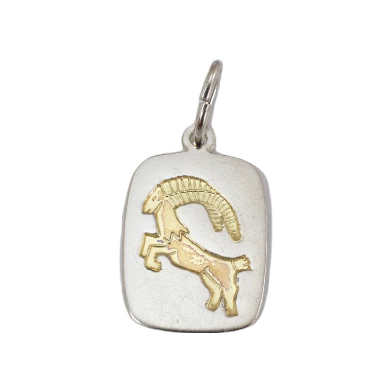 Strieborný prívesok Glare 249S 51004997