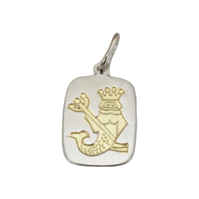 Strieborný prívesok Glare 250S 51004996