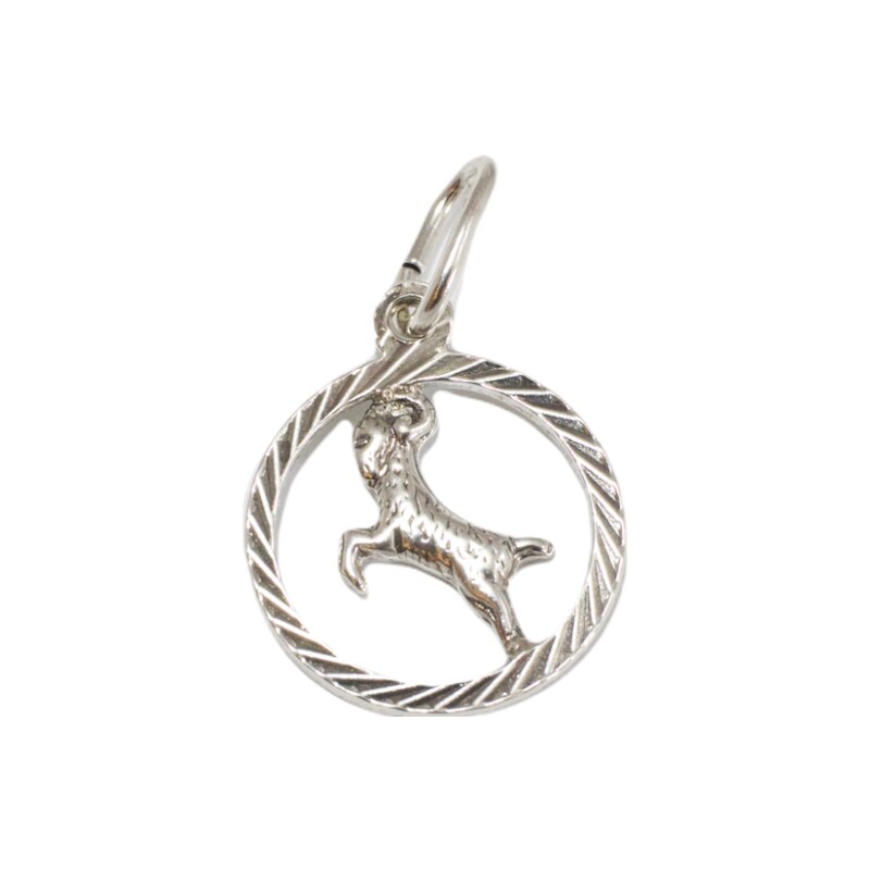 Strieborný prívesok Glare 277S 51004969