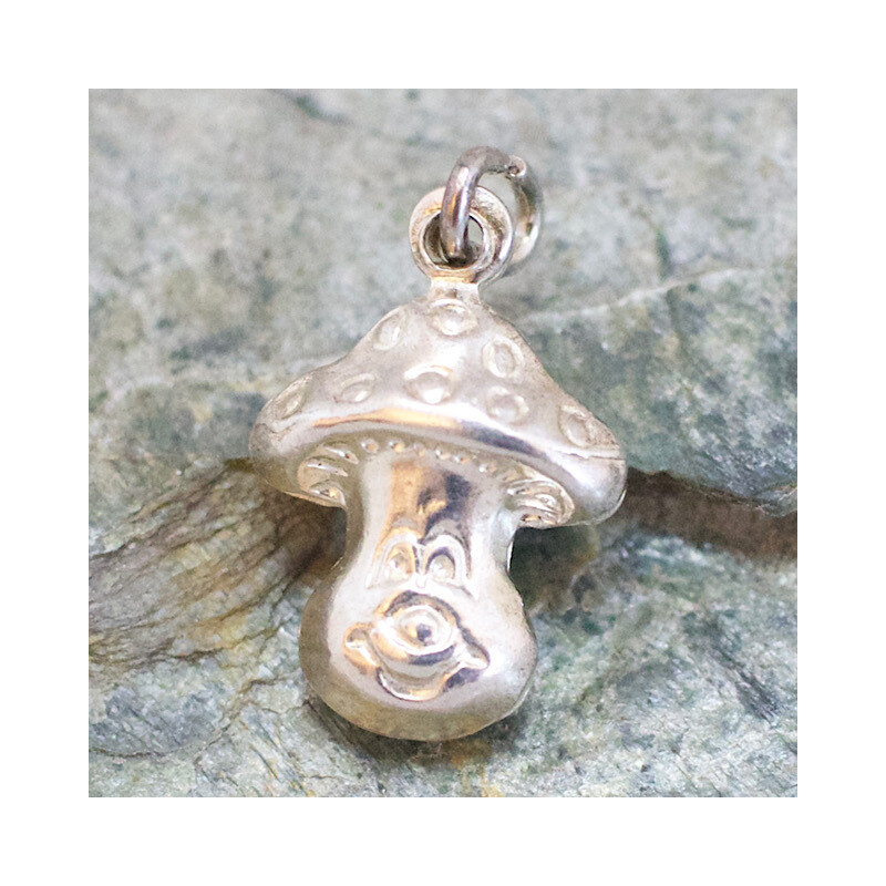 Strieborný prívesok Glare 322S 51004915