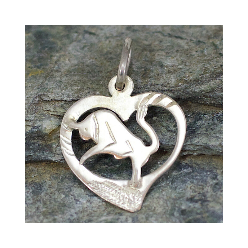 Strieborný prívesok Glare 419S 51004812