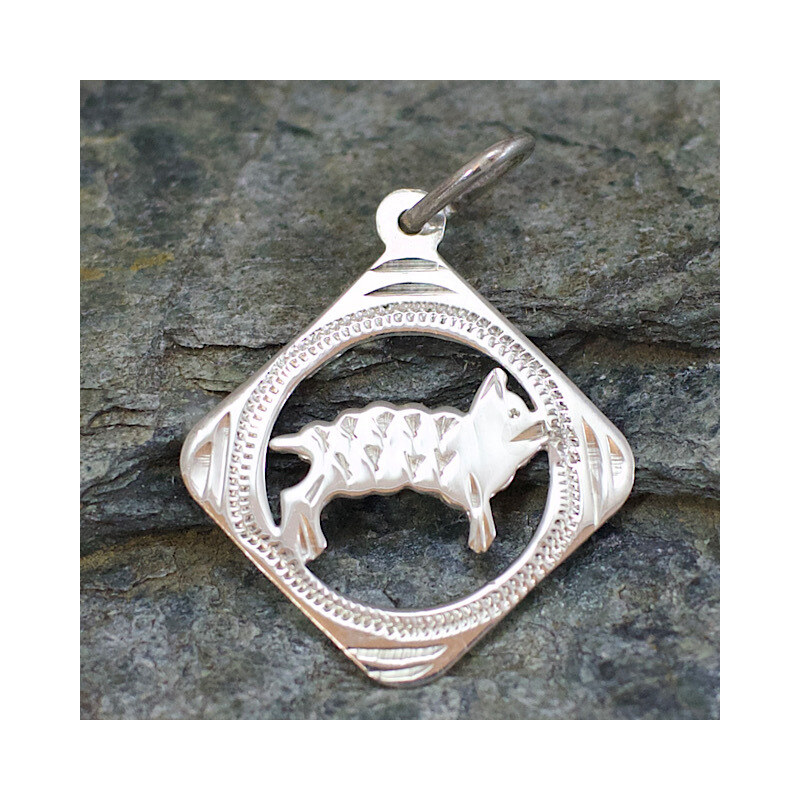 Strieborný prívesok Glare 380S 51004827