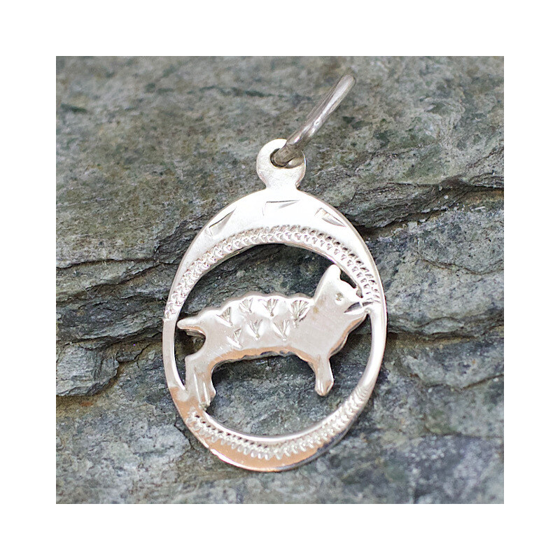 Strieborný prívesok Glare 383S 51004824