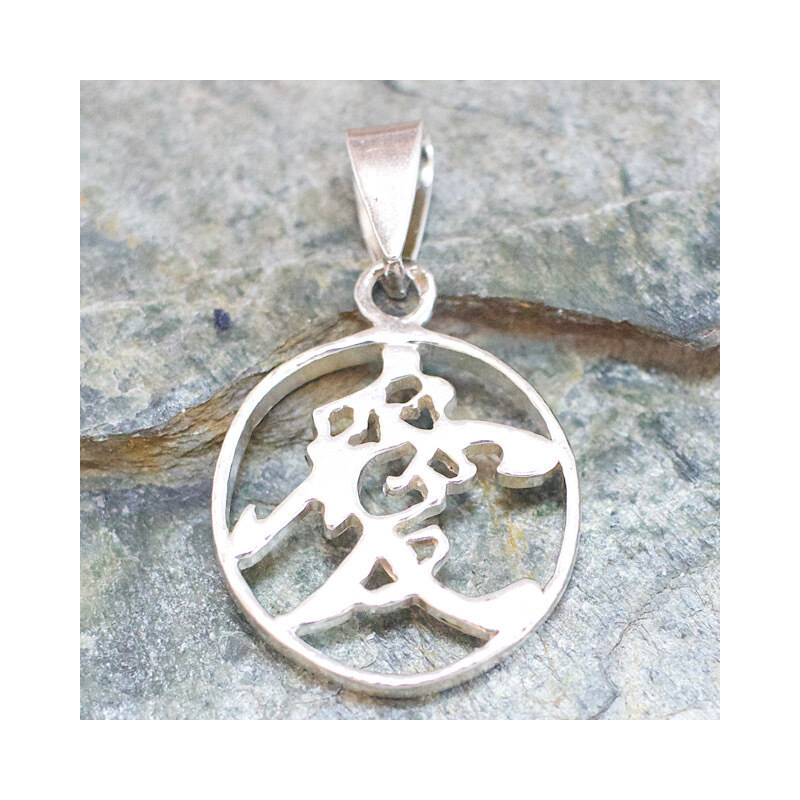 Strieborný prívesok Glare 329S 51004908