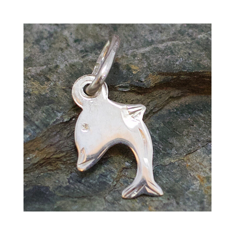 Strieborný prívesok Glare 359S 51004871