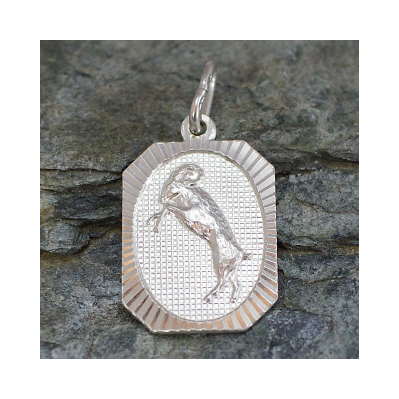 Strieborný prívesok Glare 431S 51004800