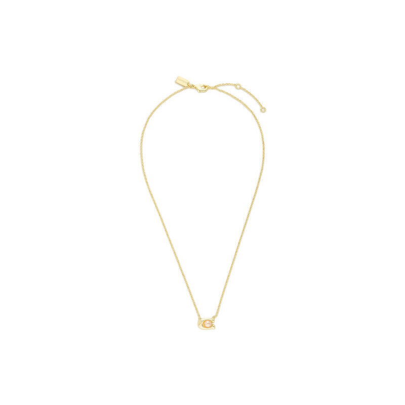 Náhrdelník Coach 52402002