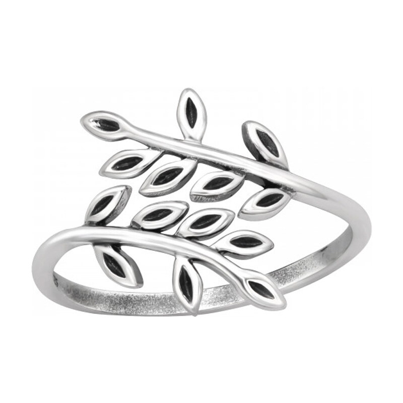 Dámsky strieborný prsteň DILARA 53174123