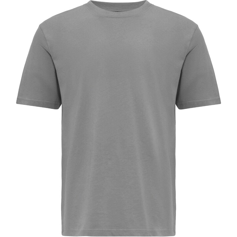 Antioch Tričko sivá 55410418