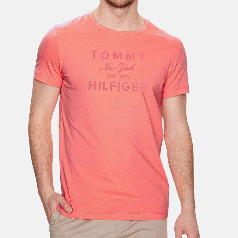 Pánské triko Tommy Hilfiger 55908 55598893