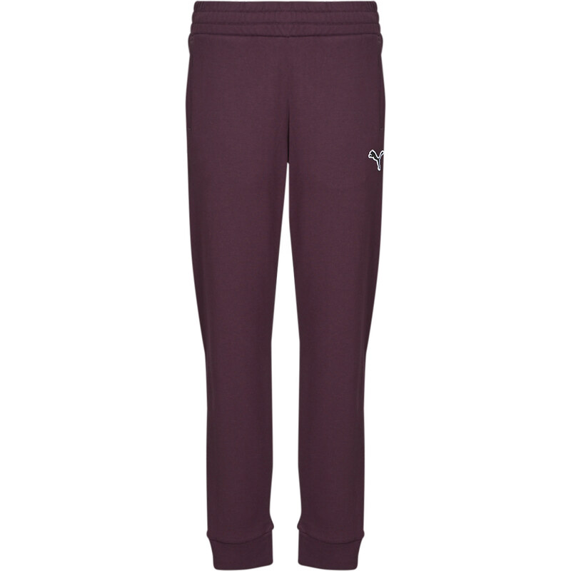 Puma Tepláky/Vrchné oblečenie BETTER ESSENTIALS PANTS CL FL Puma 62503179