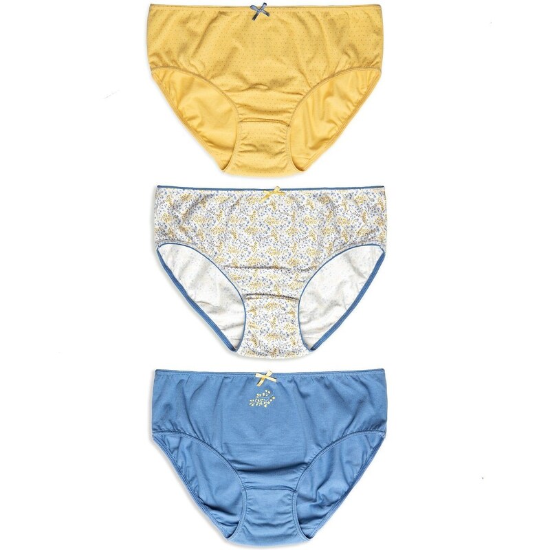 3 PACK dámskych nohavičiek Lama L-120 BI-86 2XL 55795061