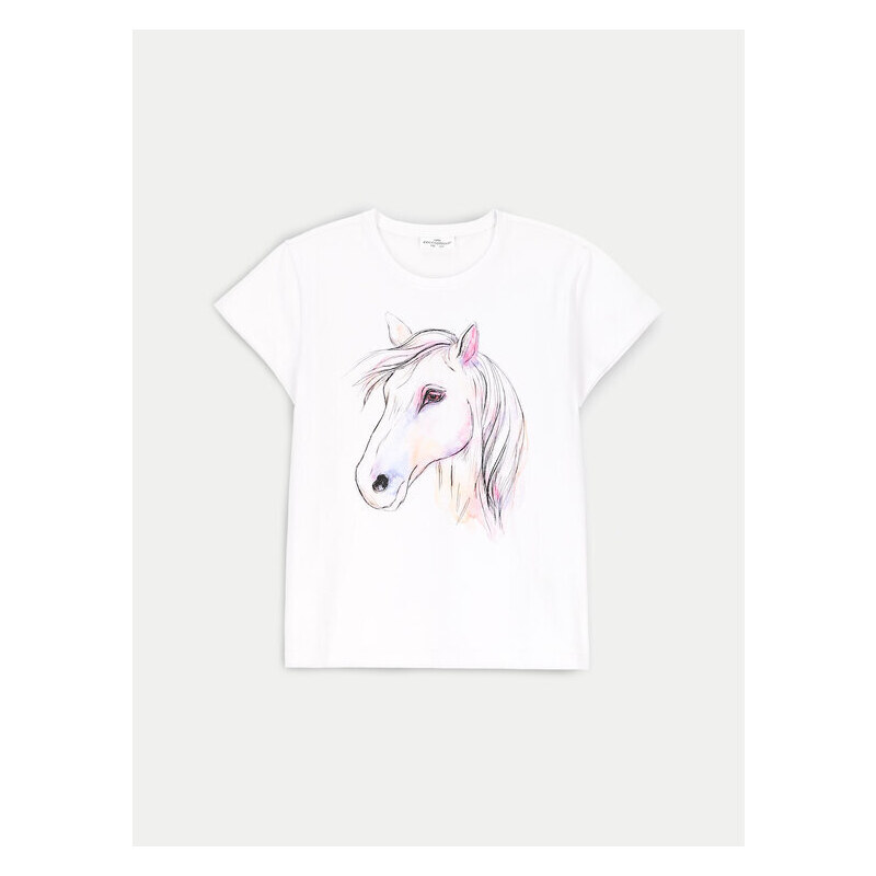 Tričko Coccodrillo 55851085