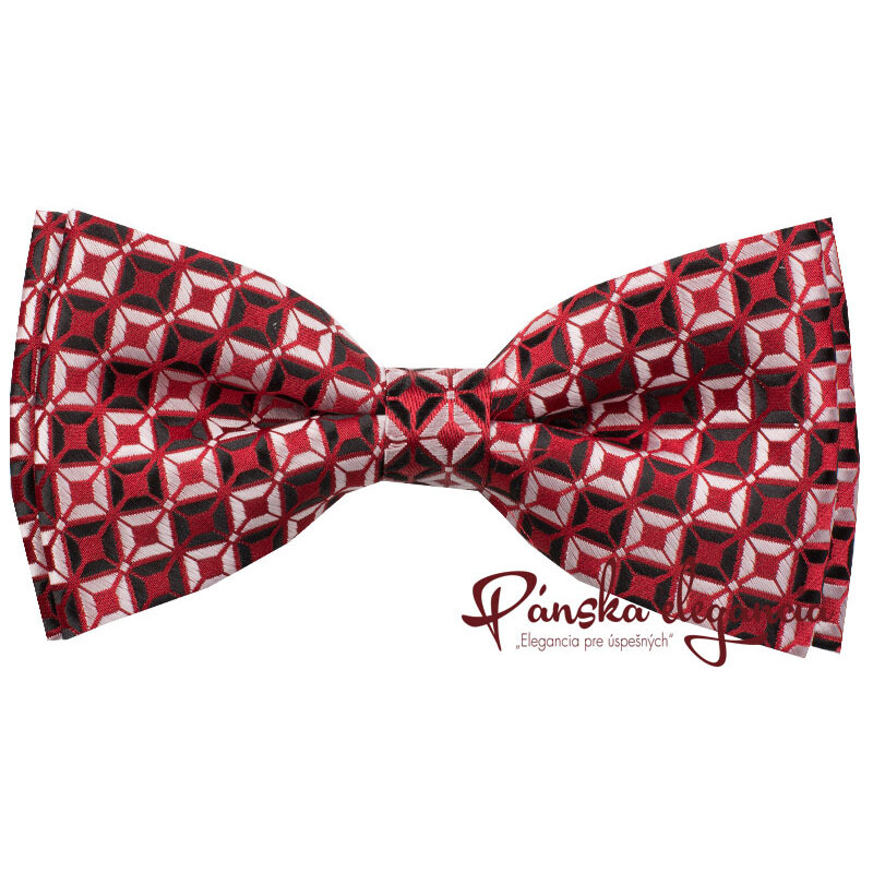 Motýlik s vreckovkou 56506289