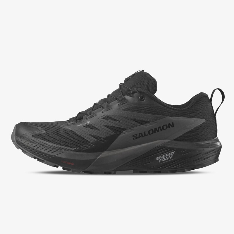 Salomon Sense Ride 5 GTX EUR 41 1/3 62354437