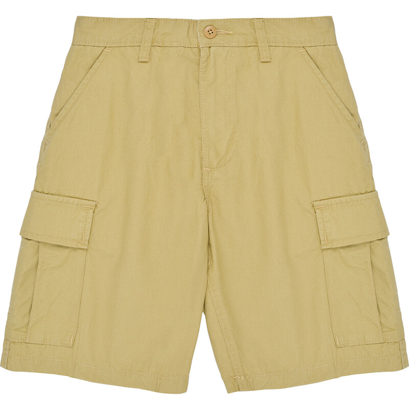 Vans Šortky/Bermudy SERVICE CARGO SHORT Vans 62499368