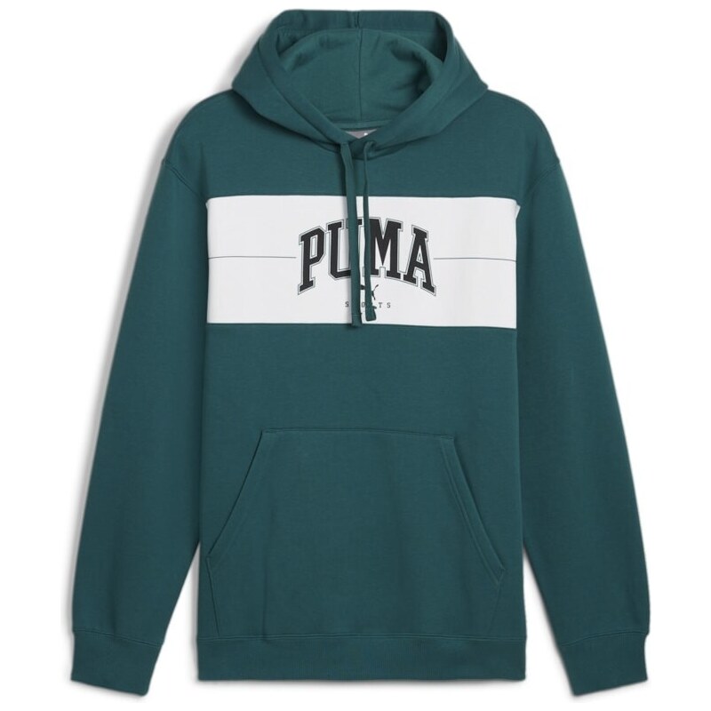 Puma SQUAD Hoodie FL green 57256719