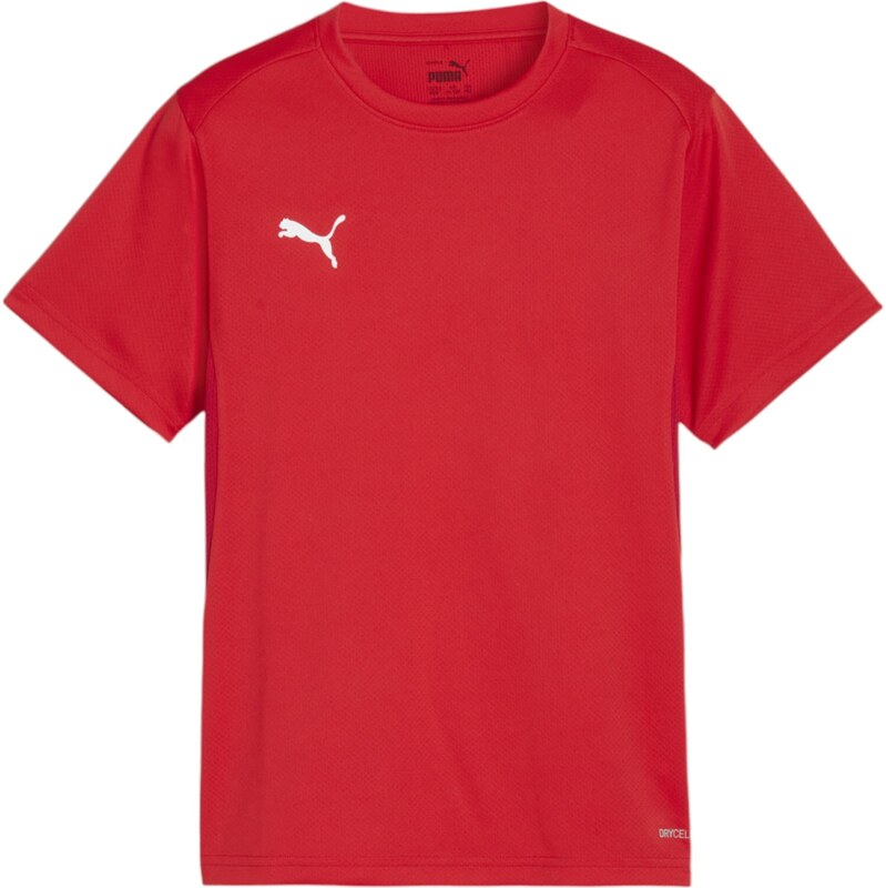PUMA Funkčné tričko TeamGoal červená / biela 67728996
