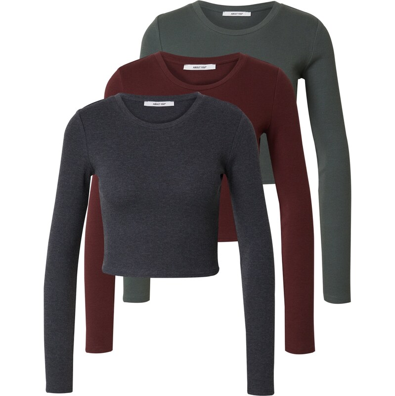 ABOUT YOU Tričko Loretta hnedá / sivá melírovaná / tmavozelená 58375096