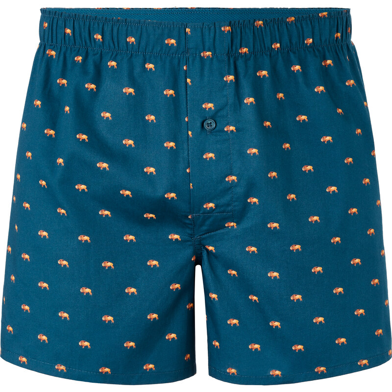 Celio Jiwobufalo Briefs - Mens 60750445