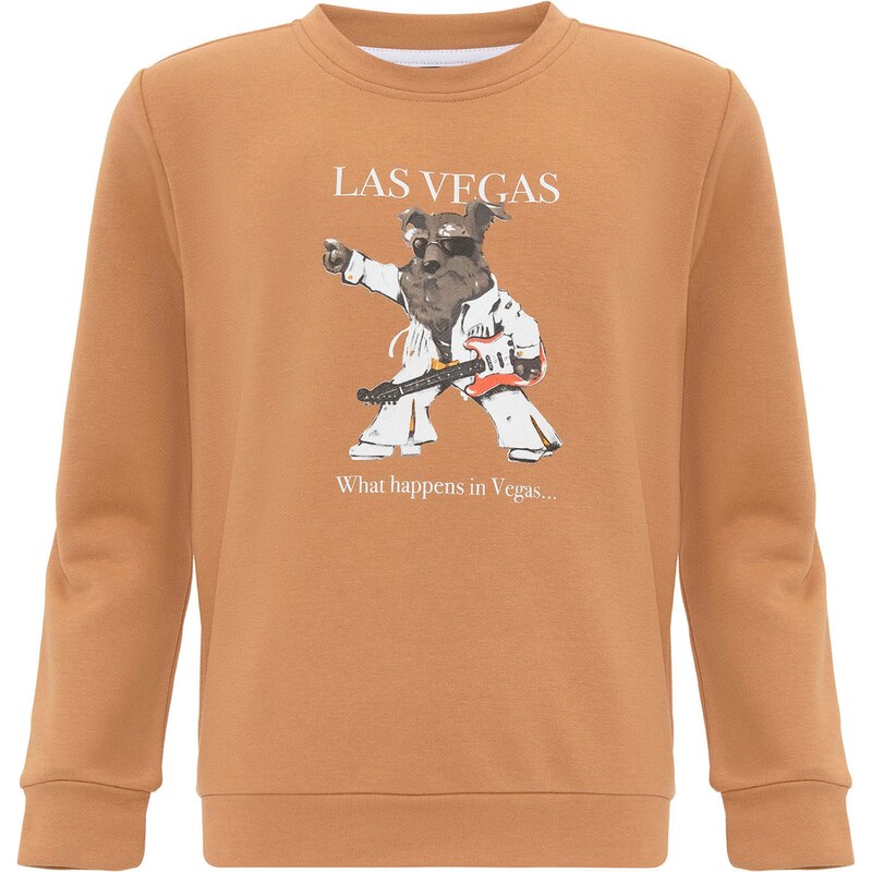 Williot Mikina hnedá 59666338